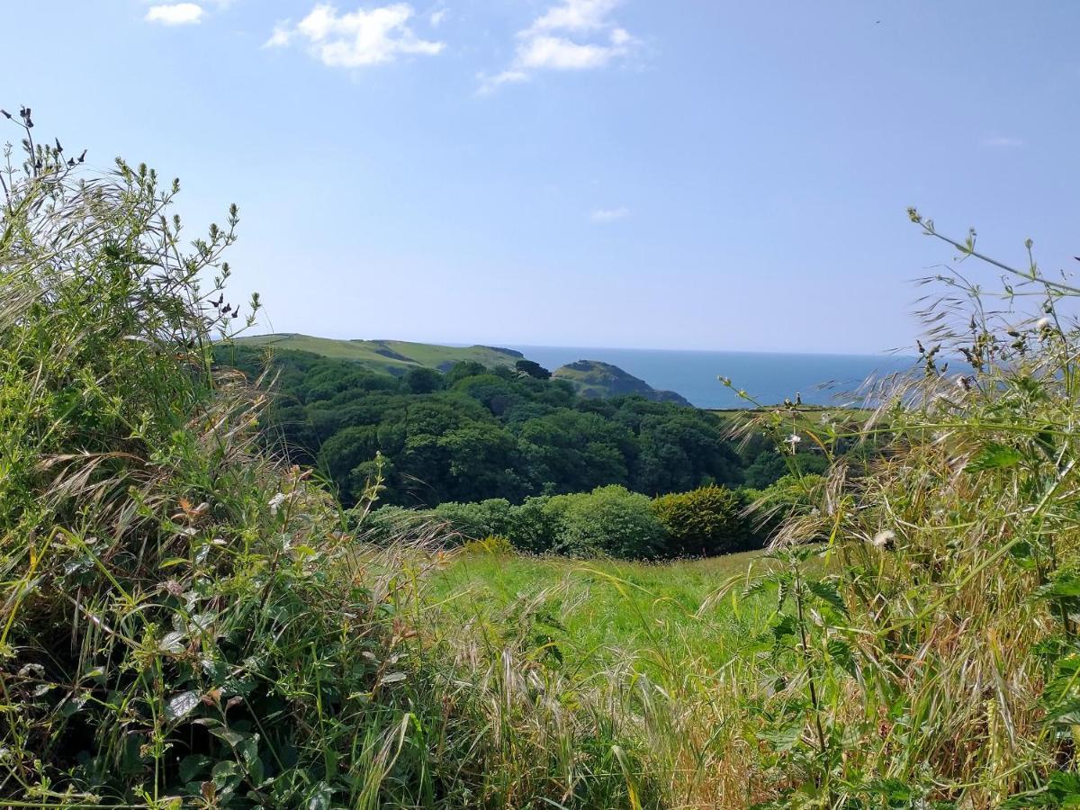 The Mill Villa Tintagel Exteriör bild
